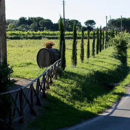 Casariccio - Casa Viola